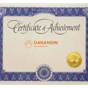 In bằng khen, giấy khen chất lượng tại Đà Nẵng - Đà Nẵng In